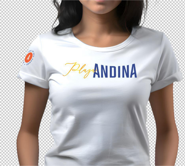 Camisetas de dotación
